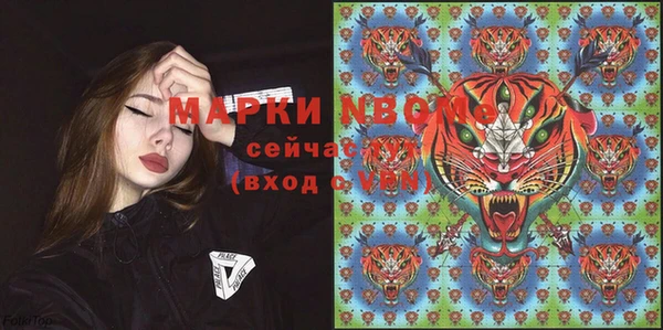 ПСИЛОЦИБИНОВЫЕ ГРИБЫ Алексин