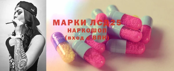 ПСИЛОЦИБИНОВЫЕ ГРИБЫ Алексин