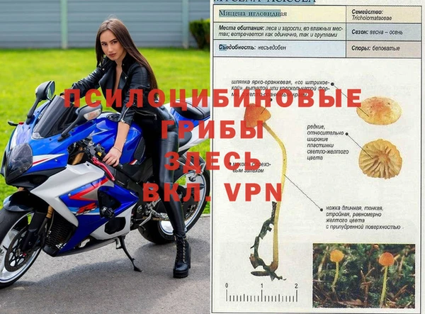 бутик Алексеевка