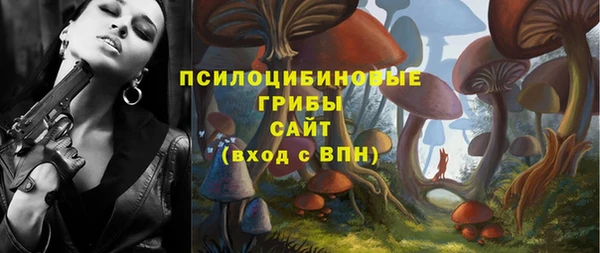 ПСИЛОЦИБИНОВЫЕ ГРИБЫ Алексин
