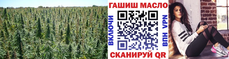 kraken как зайти цена Завитинск ТГК вейп с тгк
