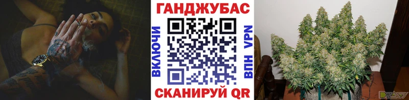 Шишки марихуана марихуана Завитинск